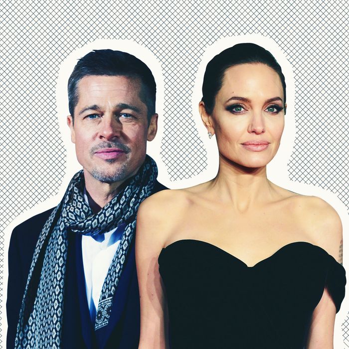 Does Angelina Jolie Have A New Millionaire Boyfriend