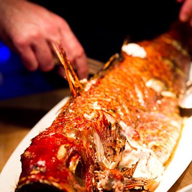 Close-up of the queen snapper.