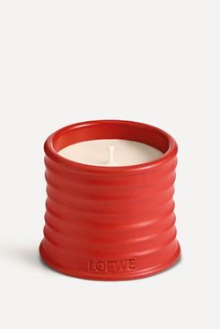 Loewe Small Tomato Leaves Candle