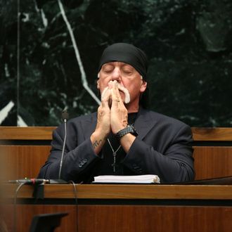 Terry Bollea, aka Hulk Hogan, Testifies In Gawker Media Lawsuit