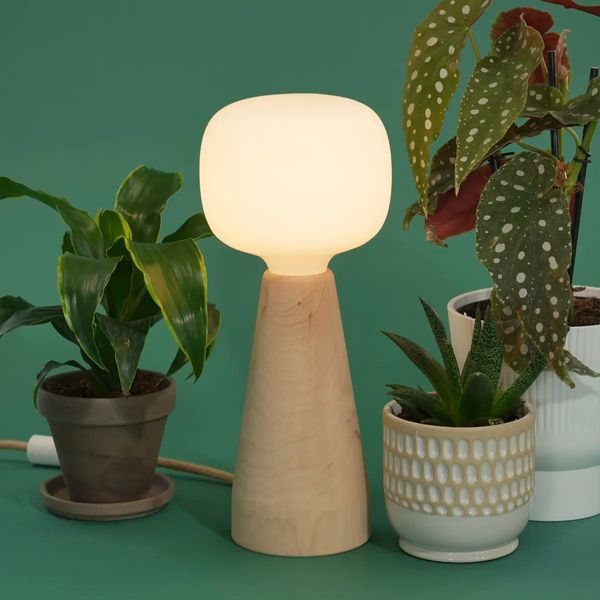 Soltech Aura Ambient Grow Light