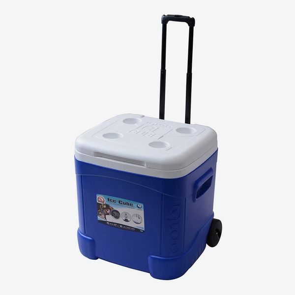 6 Best Coolers With Wheels 2021 The Strategist