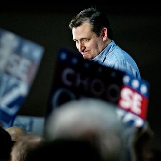 Presidential Candidate Ted Cruz Holds Iowa Campaign Rallies