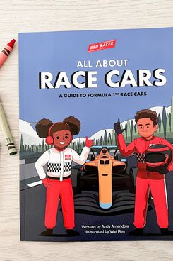 'All About Race Cars — A Guide to Formula 1 Race Cars,' by Andy Amendola and Wei Ren