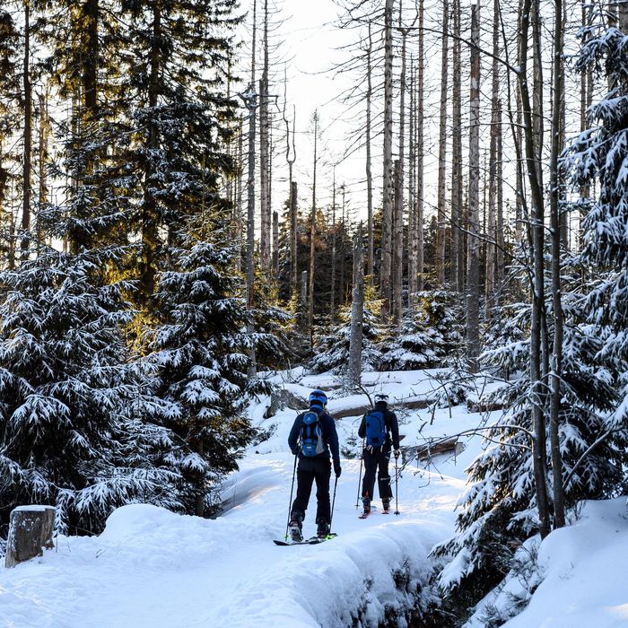 x country ski pants