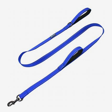 dog leash without clip