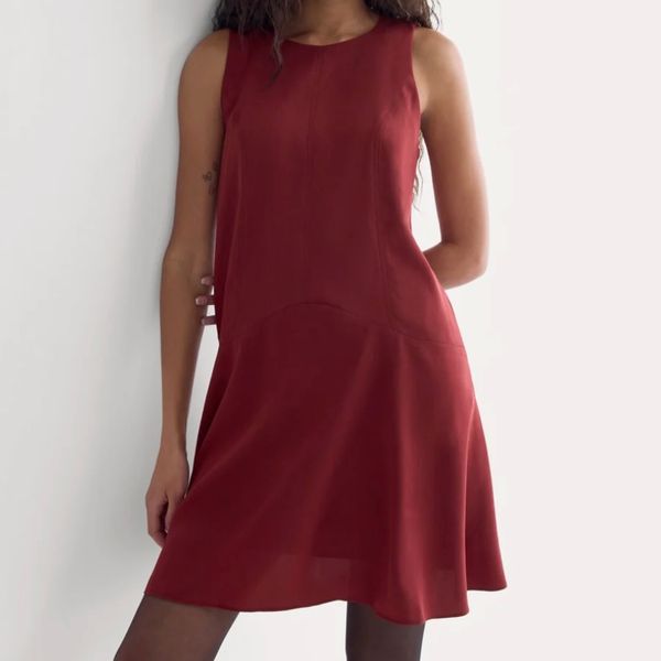 Everlane Drop Waist Mini Dress