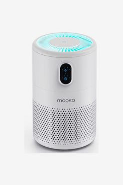 16 Best Air Purifiers 2022  The Strategist