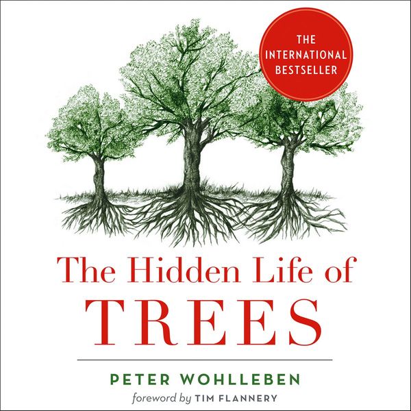 ‘The Hidden Life of Trees,' by Peter Wohlleben