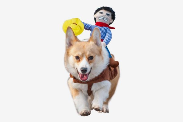 Cowboy Rider Style Dog Carrying Costume