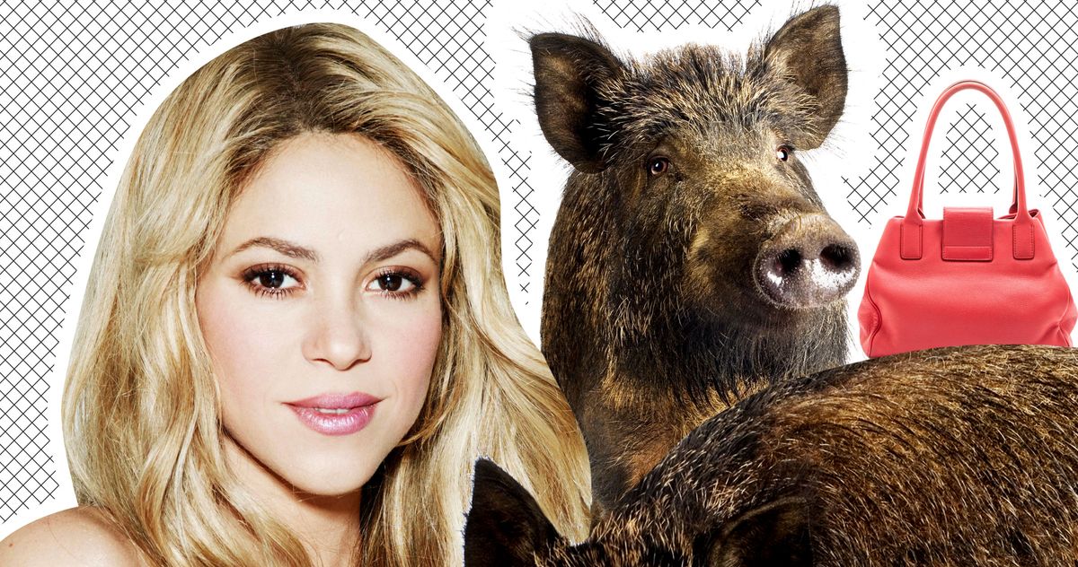 Shakira Says Two Wild Boars Stole Her Purse in Barcelona