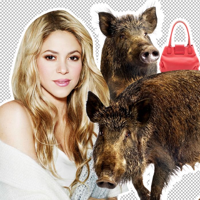 Shakira Says Two Wild Boars Stole Her Purse in Barcelona
