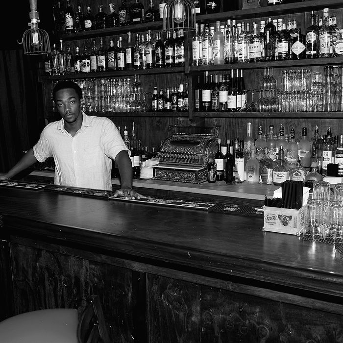 Anthony Mackie Personally Serve You a Drink at New Bar, This