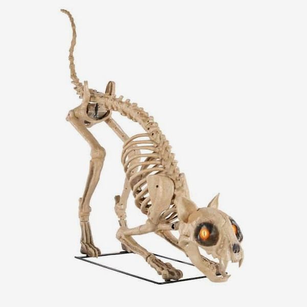 5 ft. Long Grave & Bones Skelly's Cat
