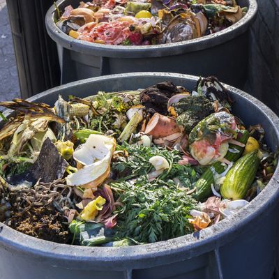 76 percent of households say they throw out food at least once a month.