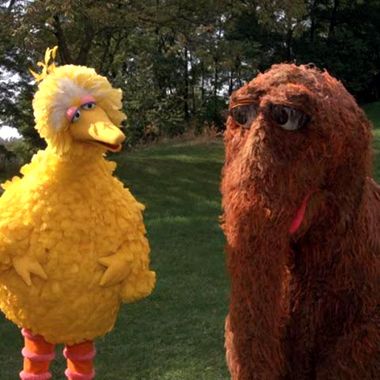 Big Bird and His Muppet Army Will March on Washington