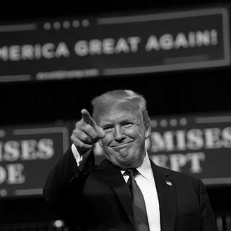 Donald Trump at rally in Tampa, Florida. 