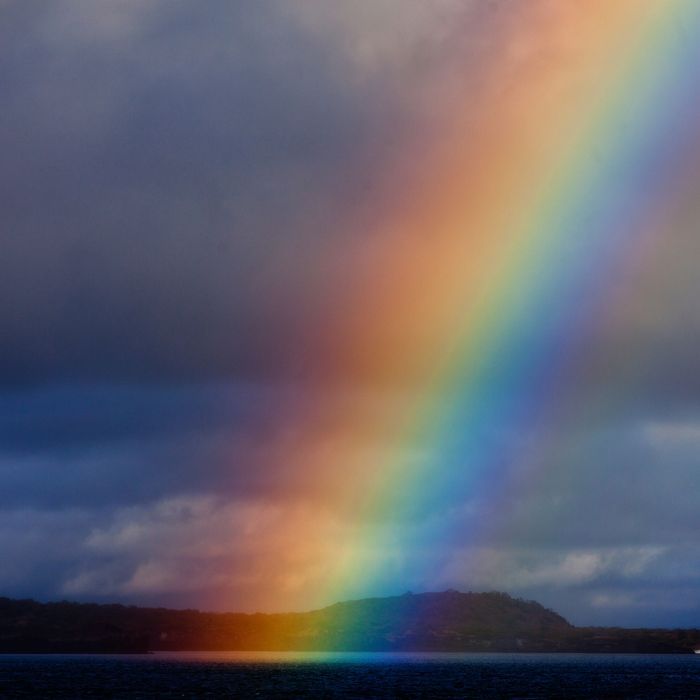 Ten Rainbows to Make You Happy After a Storm