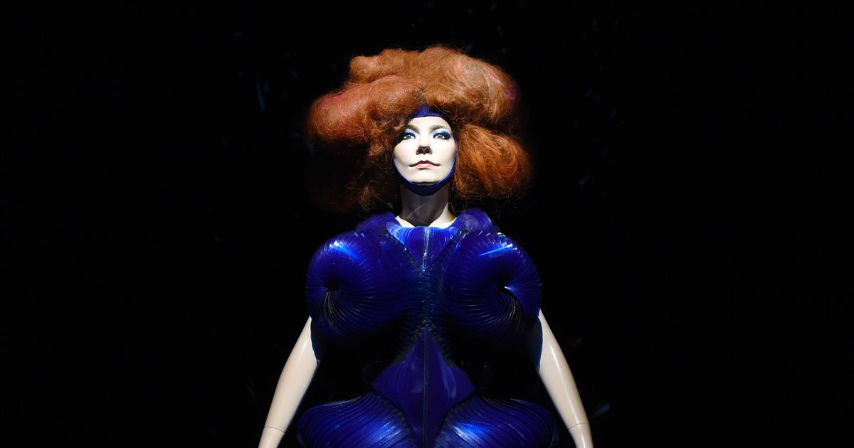 MoMA's Björk Disaster