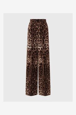 Dolce & Gabbana Velvet Leopard Print Flared Pants