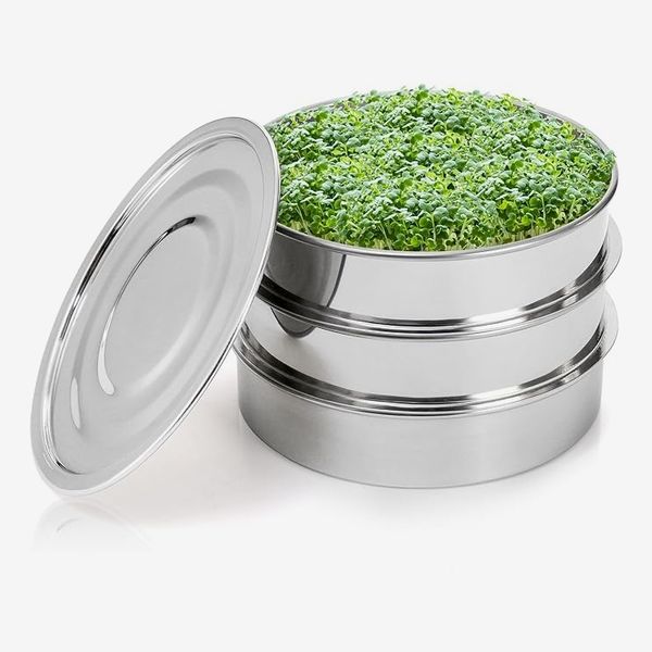 Tlence Seed-Sprouting Kit