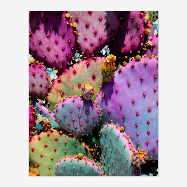 Justina Blakeney, 'Rainbow Cactus'
