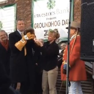 Bombshell Mayor De Blasio Implicated In Death Of Staten Island Groundhog