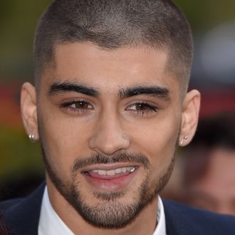 Good News, Directioners! Stephen Hawking Says Zayn Is Still Part of 1D ...