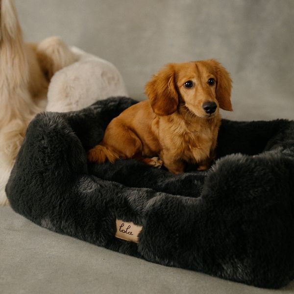 Lola Blankets The Lola Pet Bed - Charcoal Grey