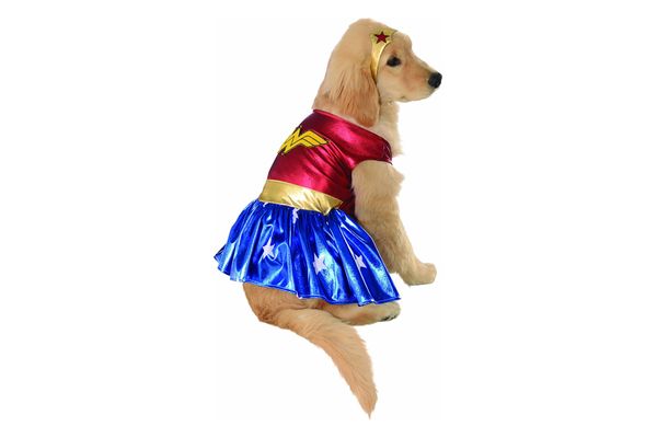 Rubie’s Costume DC Heroes and Villains Collection Pet Costume