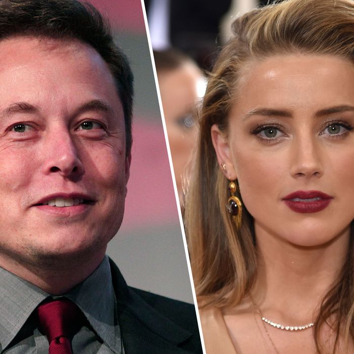 If Elon Musk S Mom Met Amber Heard She Doesn T Remember