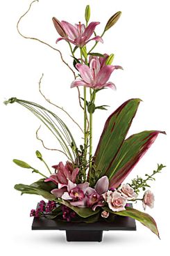 Teleflora Imagination Blooms with Cymbidium Orchids