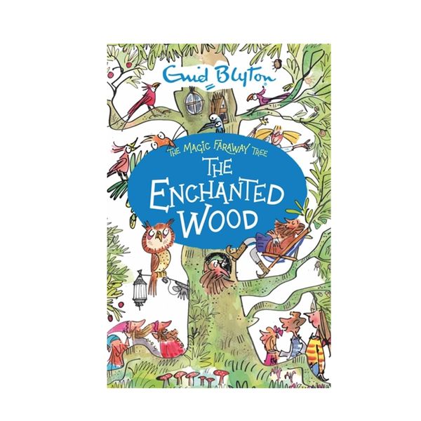 'The Magic Faraway Tree: The Enchanted Wood,' Book 1