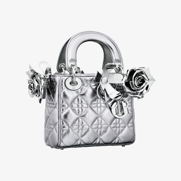 Anna Weyant for Dior Lady Bag