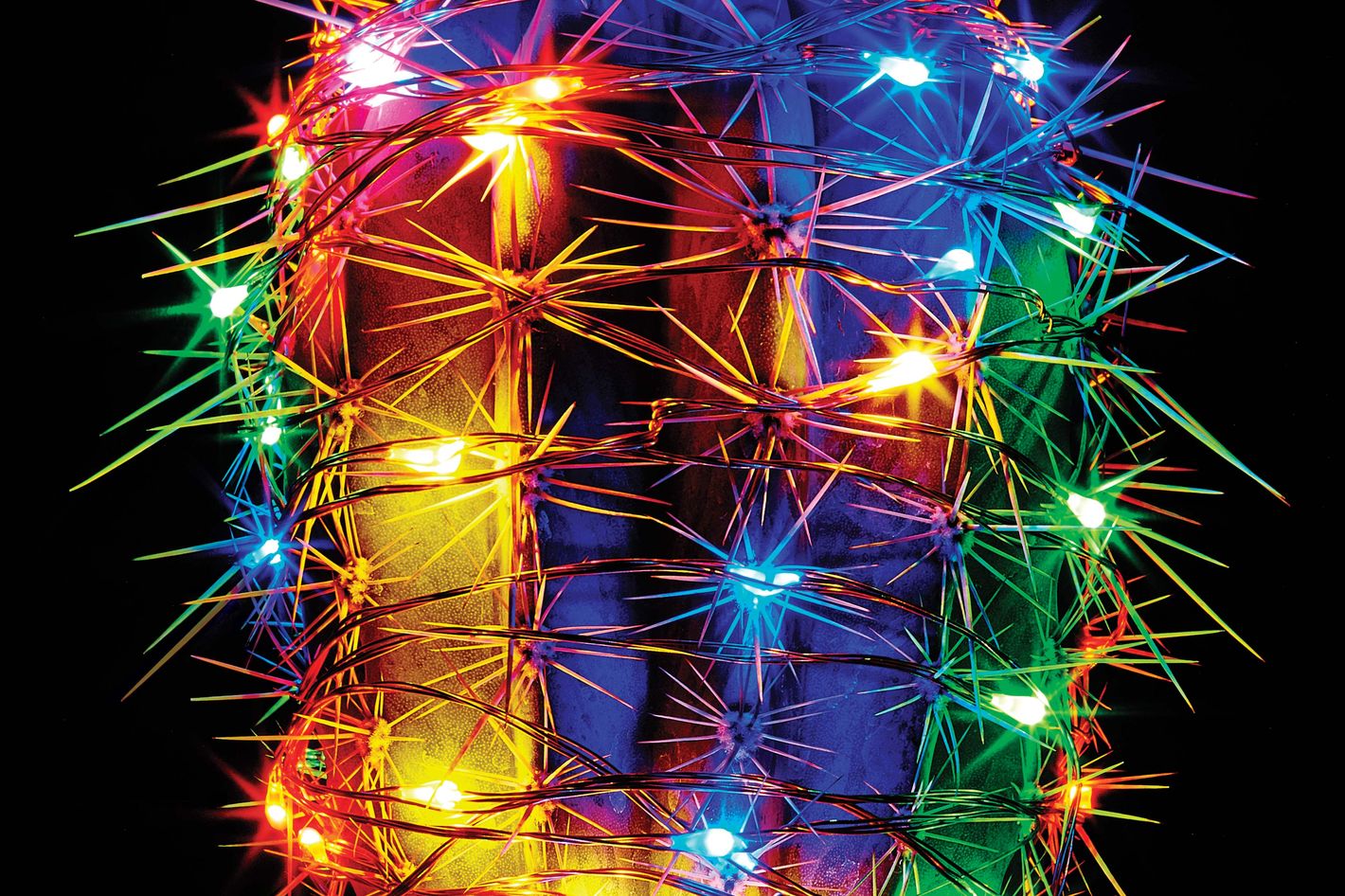 taotronics string lights