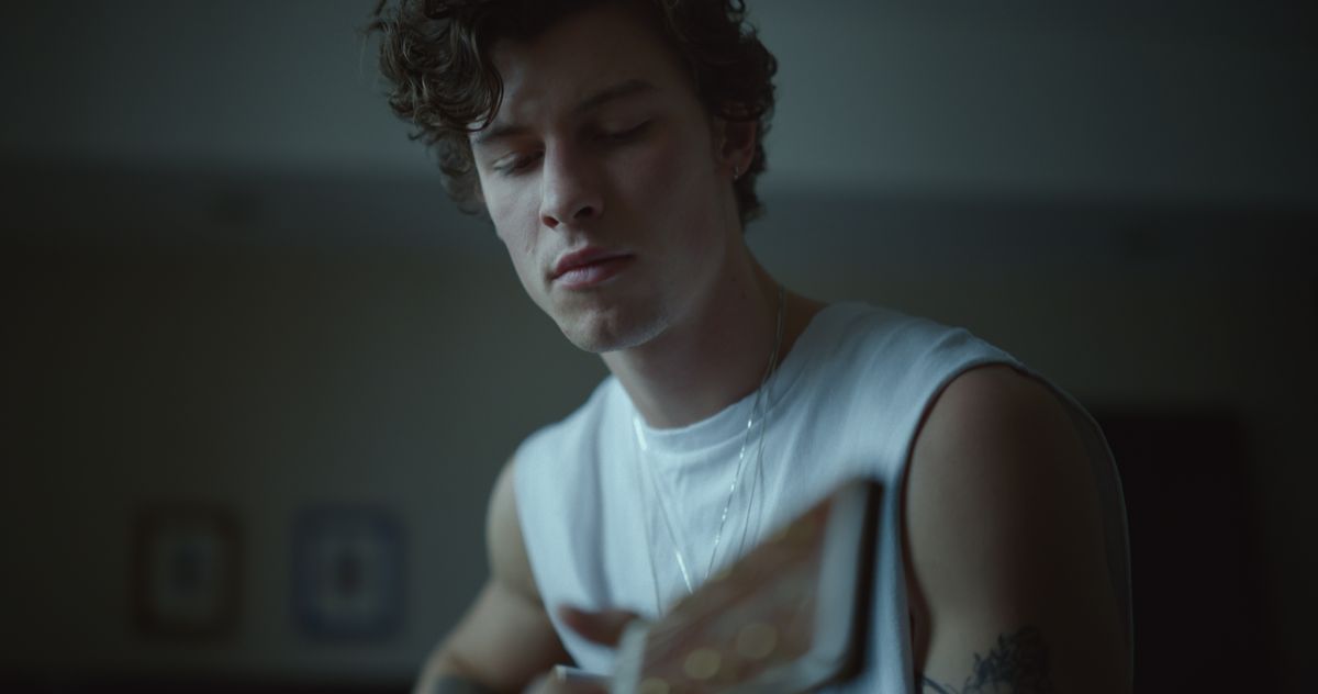 Shawn Mendes Reveals He Is ‘Normal’ in New Documentary