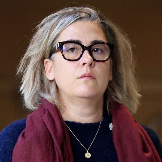 Gisele Pelicot's rape trial continues in Avignon, France - 20 Nov 2024