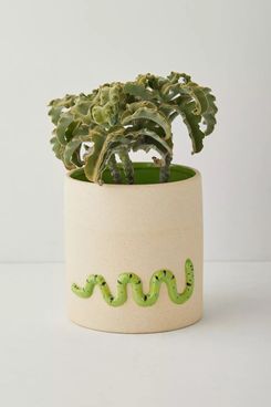 Urban Outfitters 3D Worm Planter