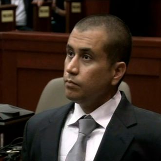 Murder suspect George Zimmerman looks on during a bond hearing in Sanford, Florida, in this still image taken from video April 20, 2012. 