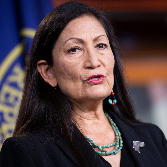 Deb Haaland Tapped for Interior Secretary in Biden