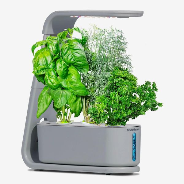 AeroGarden Sprout
