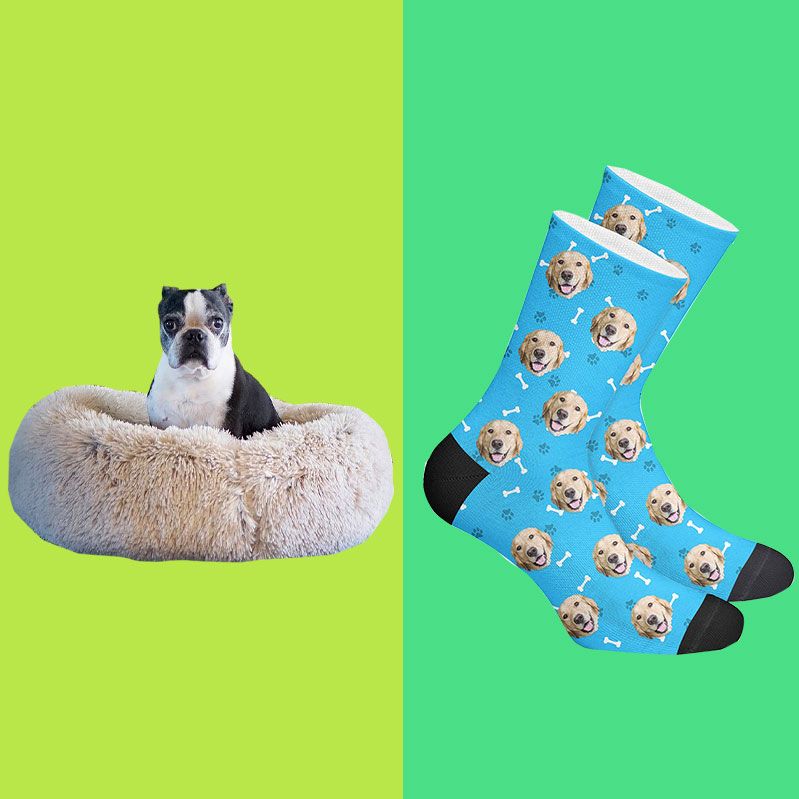 Argyle Dog My Pet Selfies Custom Personalized Dog Puppy Socks Gift for Pet Parents 