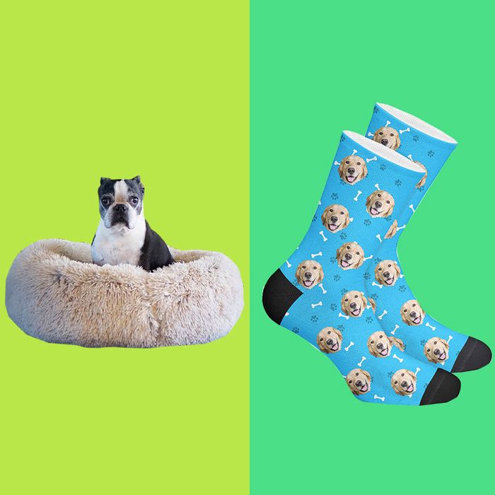 The Best Gifts for Dog Lovers 2020 | The Strategist