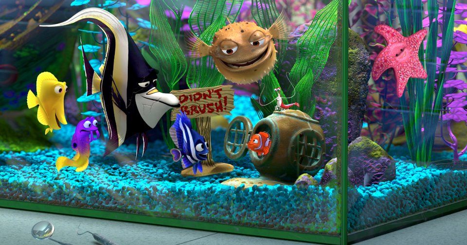 5 Best Fishbowls and Aquariums