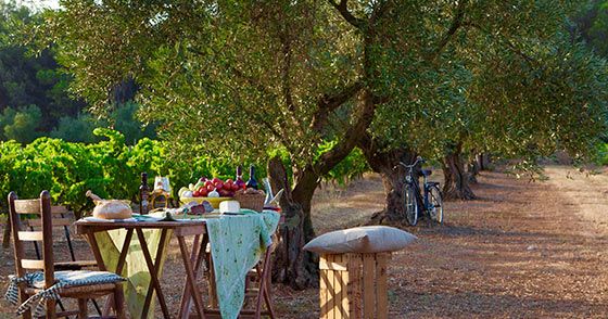 Wine and Dine in ‘Game of Thrones’ Country