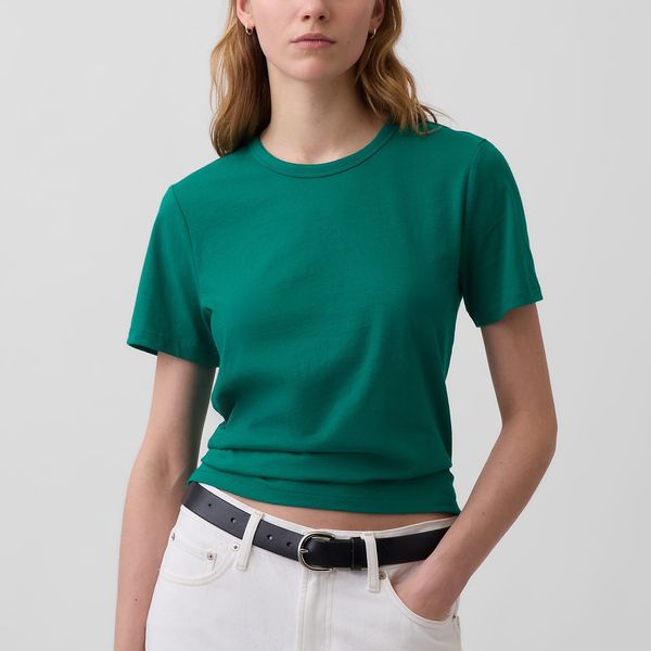 Gap Organic Cotton VintageSoft T-Shirt