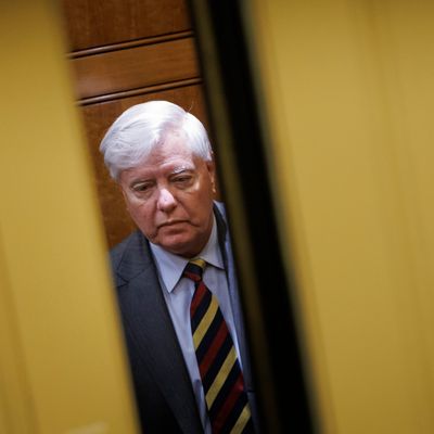 Senator Lindsey Graham