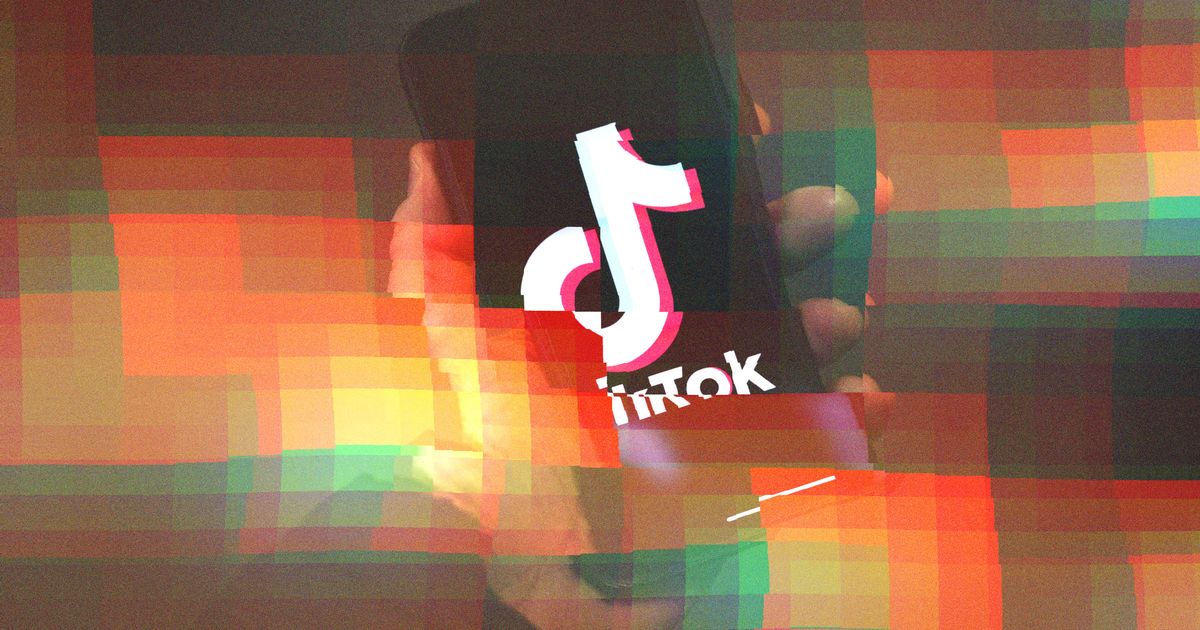 TikTok Ban Would Make for Quite Unusual Working day on the World wide web