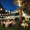 Blurred image of Decorative outdoor lighting lamps in the forest at a wedding party. Edison lamps on coniferous trees