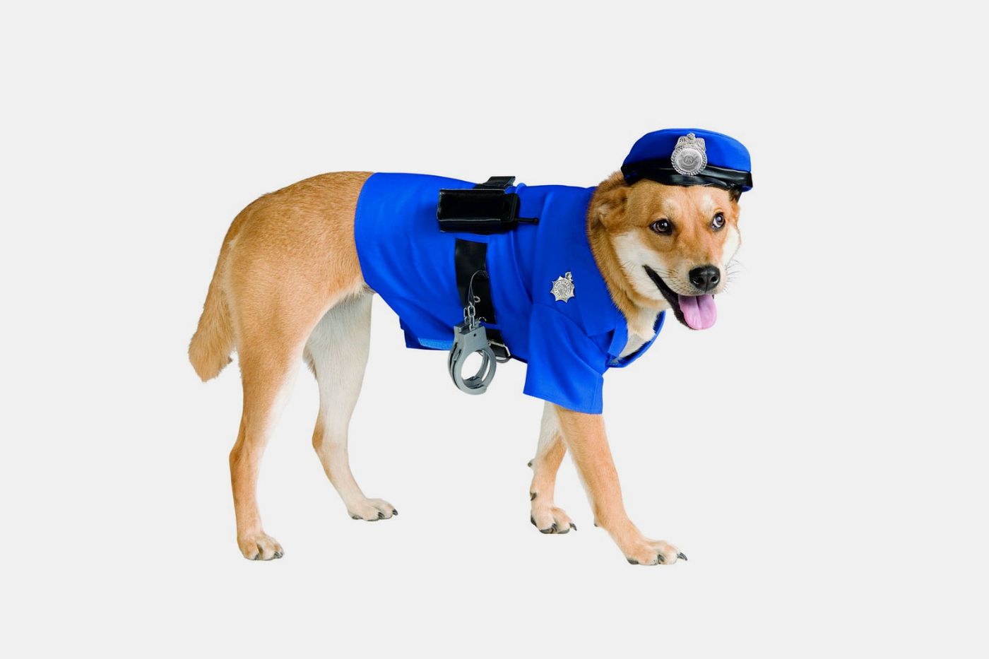 Fashion nova dog costumes sale